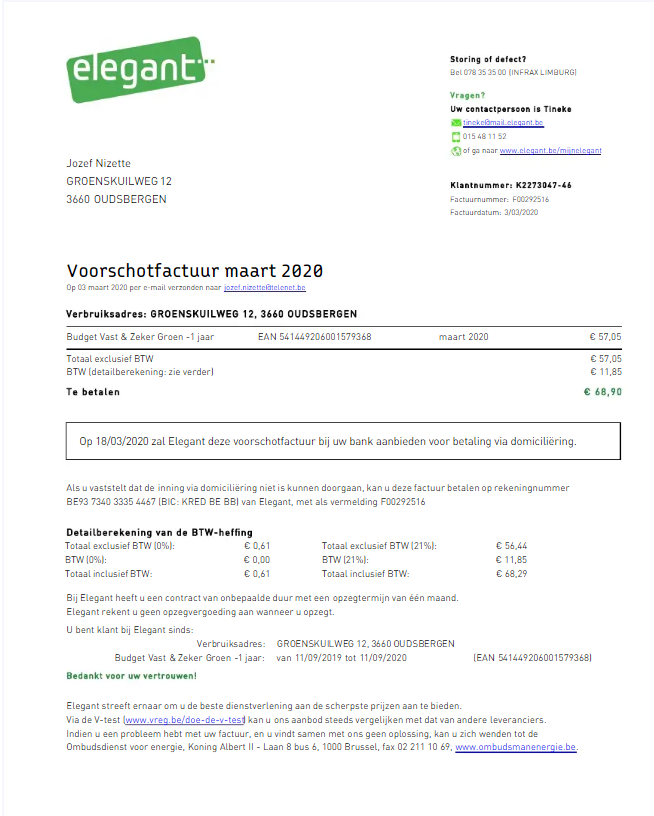 BELGIUM ELEGANT utility bill Word and PDF template